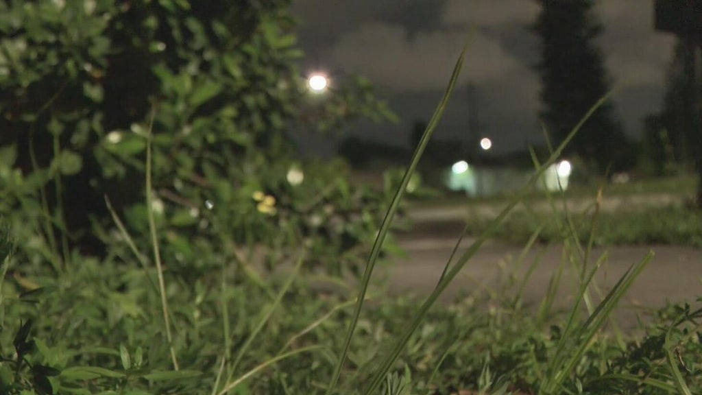 Broward mother says she went months without update after reporting man outside her window — CBS Miami, Tokyo Real Estate news