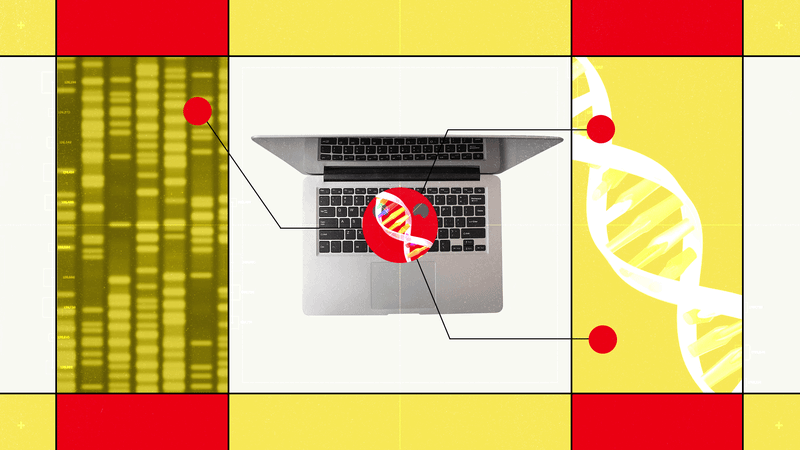 Hugging Face’s New AI Biology Model Lets You Chat With DNA — Wired, Tokyo Technology news