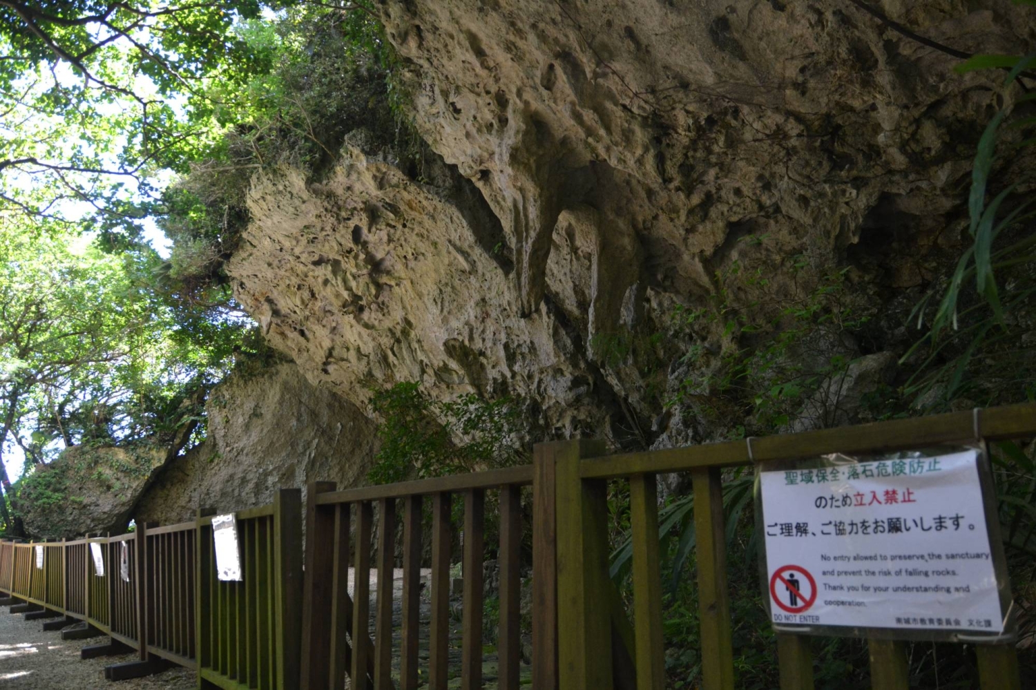 Premium tour plan to Okinawa sanctuary shelved following local opposition — Japan Times
