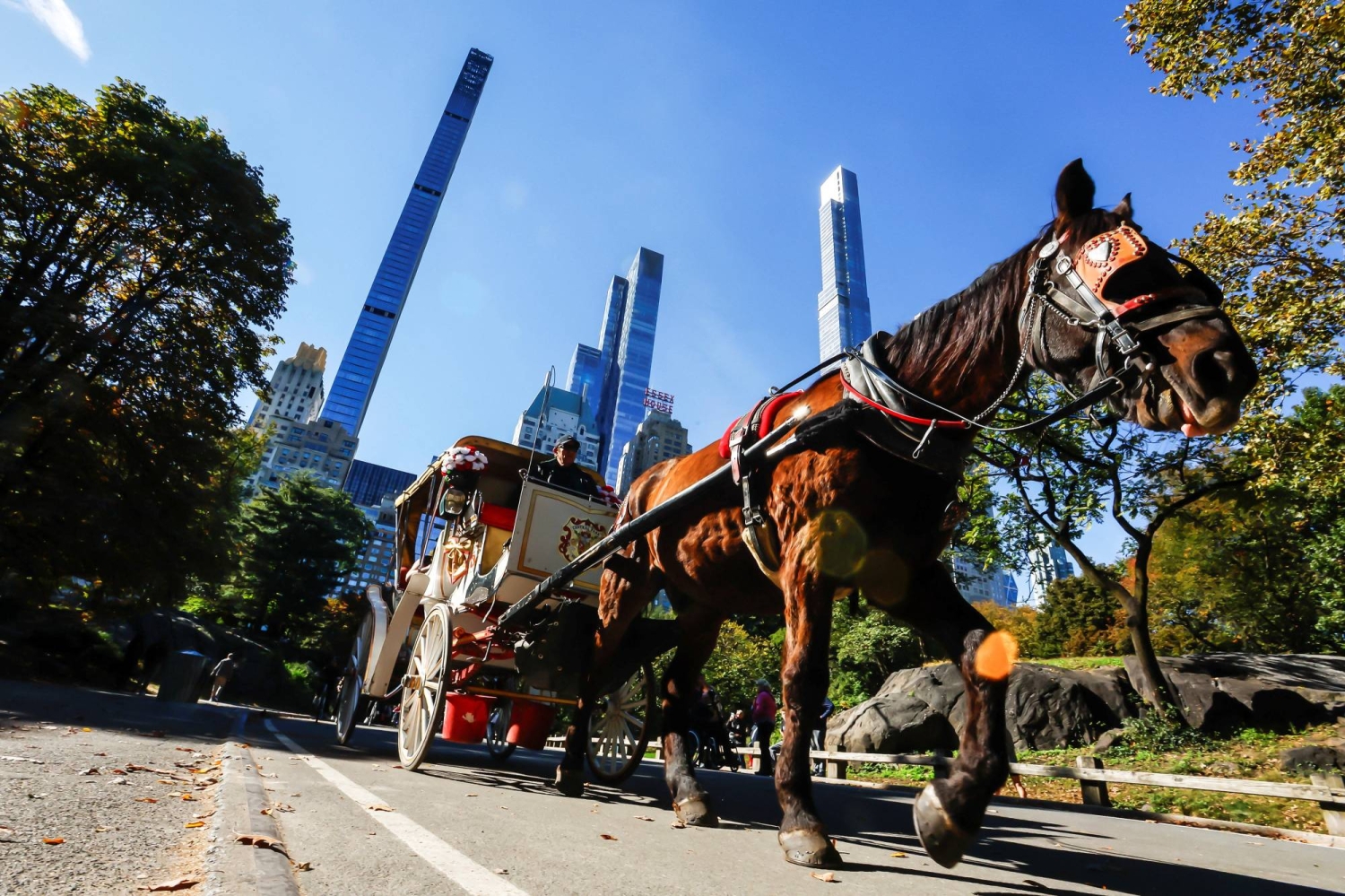  New York bans horse-drawn carriages after decadelong battle  — Japan Times