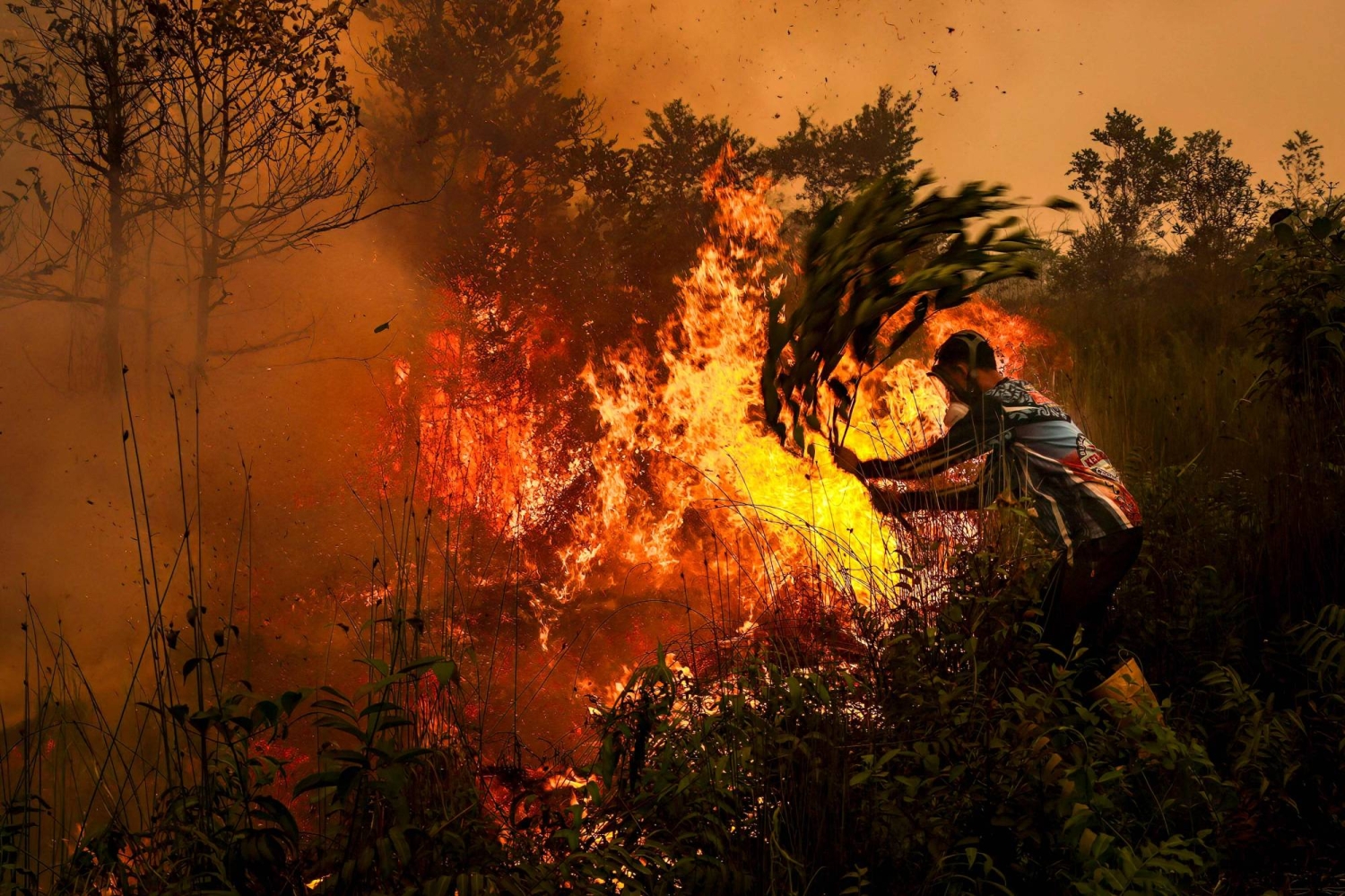 Fire pollution killed 3,560 people in Indonesia in September, report says — Japan Times